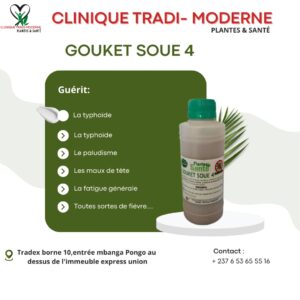 GOUKET SOUE 4 – Solution Naturelle pour Fièvres et Vitalité